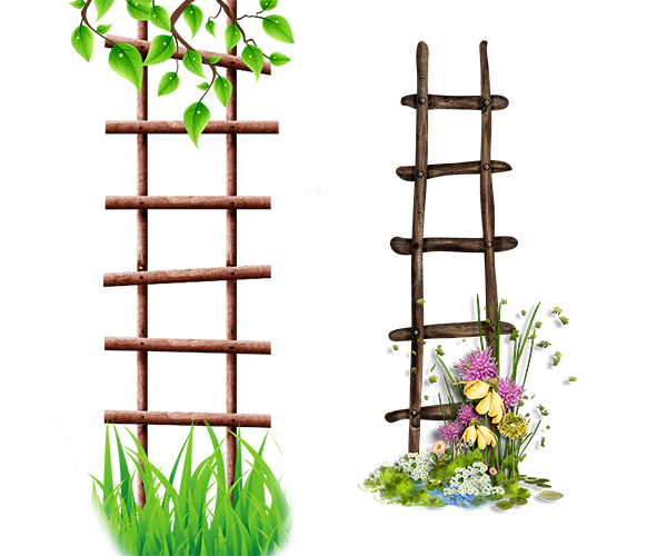 Ladder Flower Frame Albom Icon Transparent PNG Image