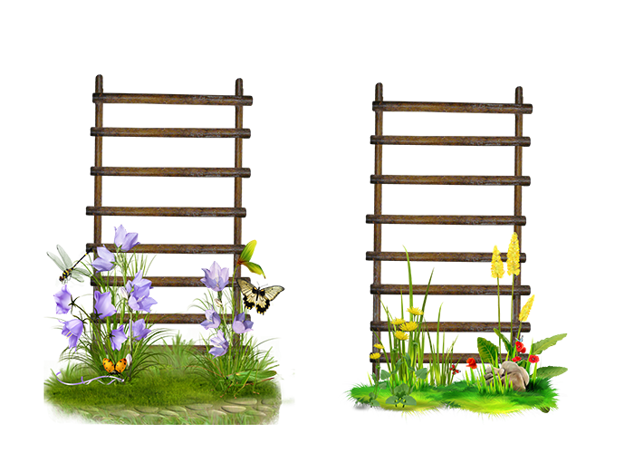 Ladder Frame Flower Stairs Garden Transparent PNG Image