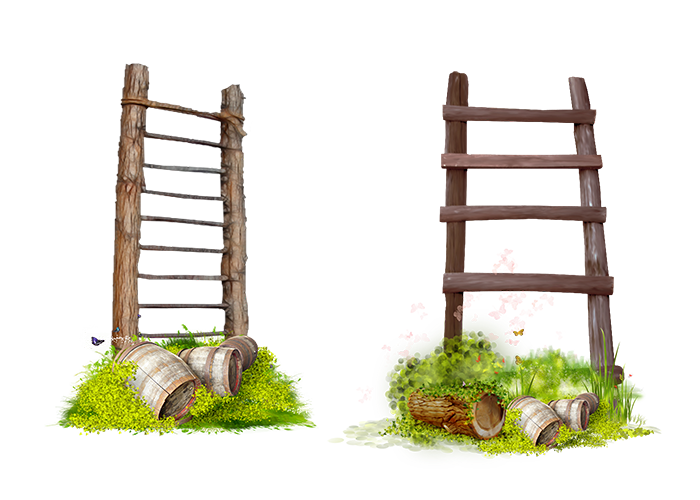 Flower Garden Ladder Frame Stairs graphy Transparent PNG Image