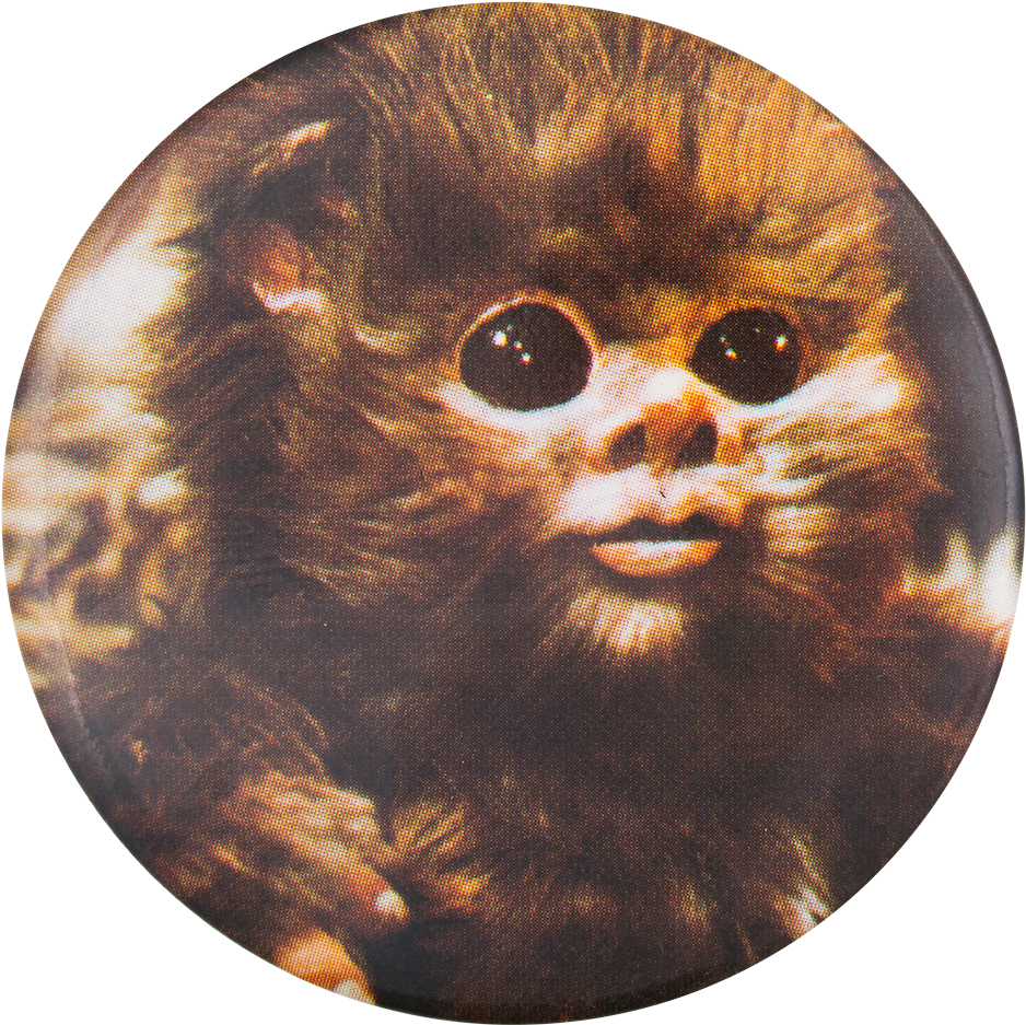 Ewok Transparent PNG Image