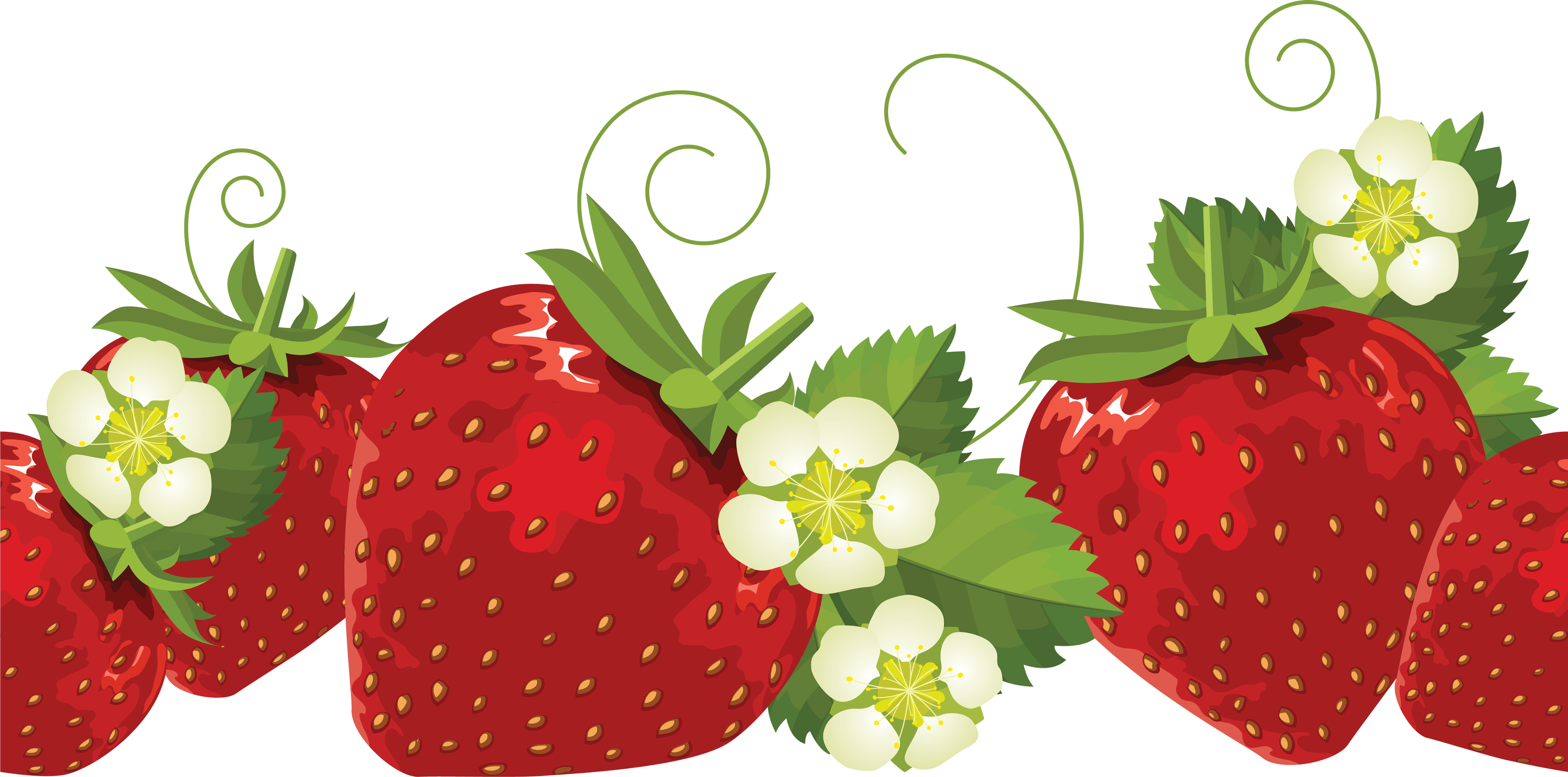 Strawberry Transparent PNG Image