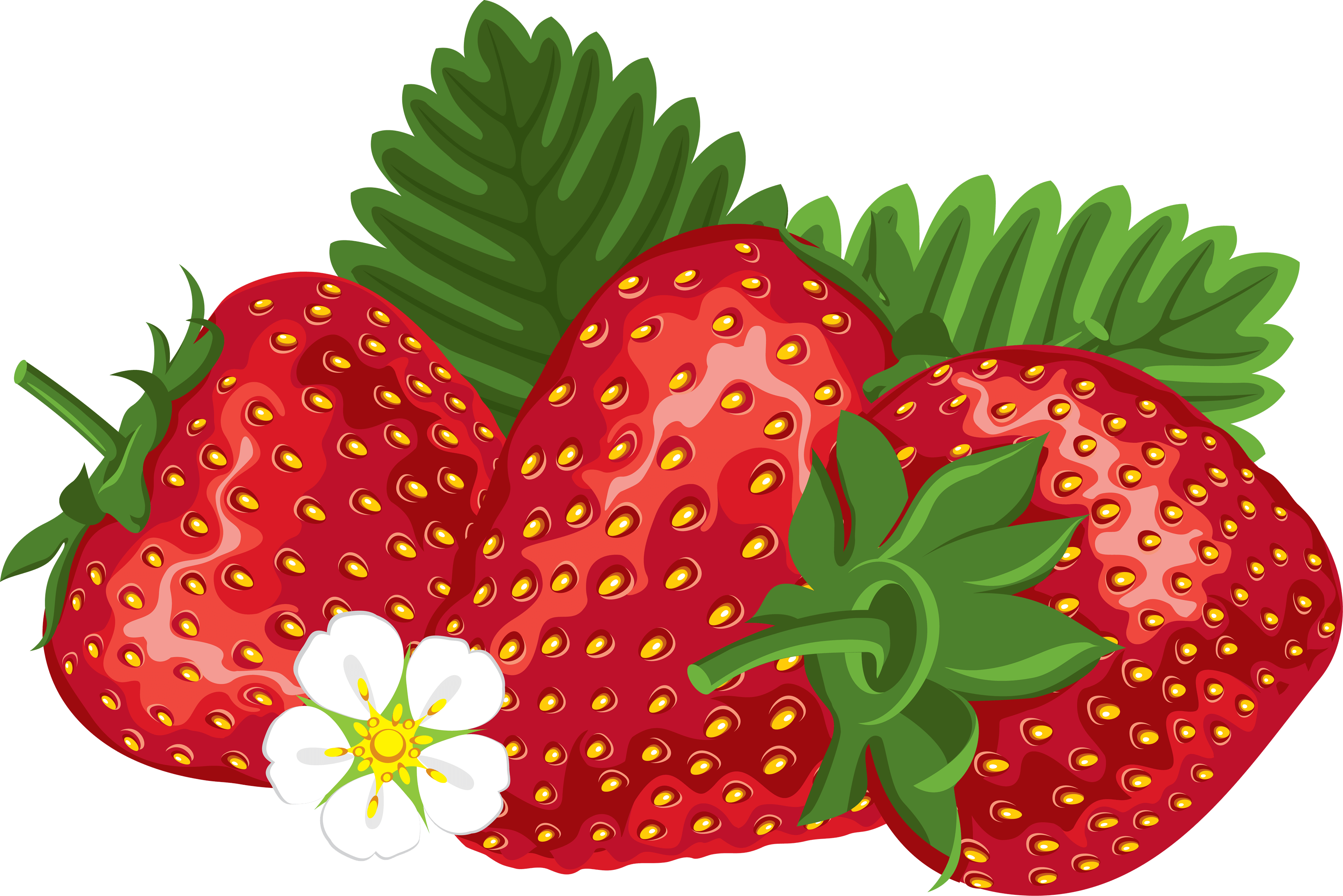 Strawberry Transparent PNG Image