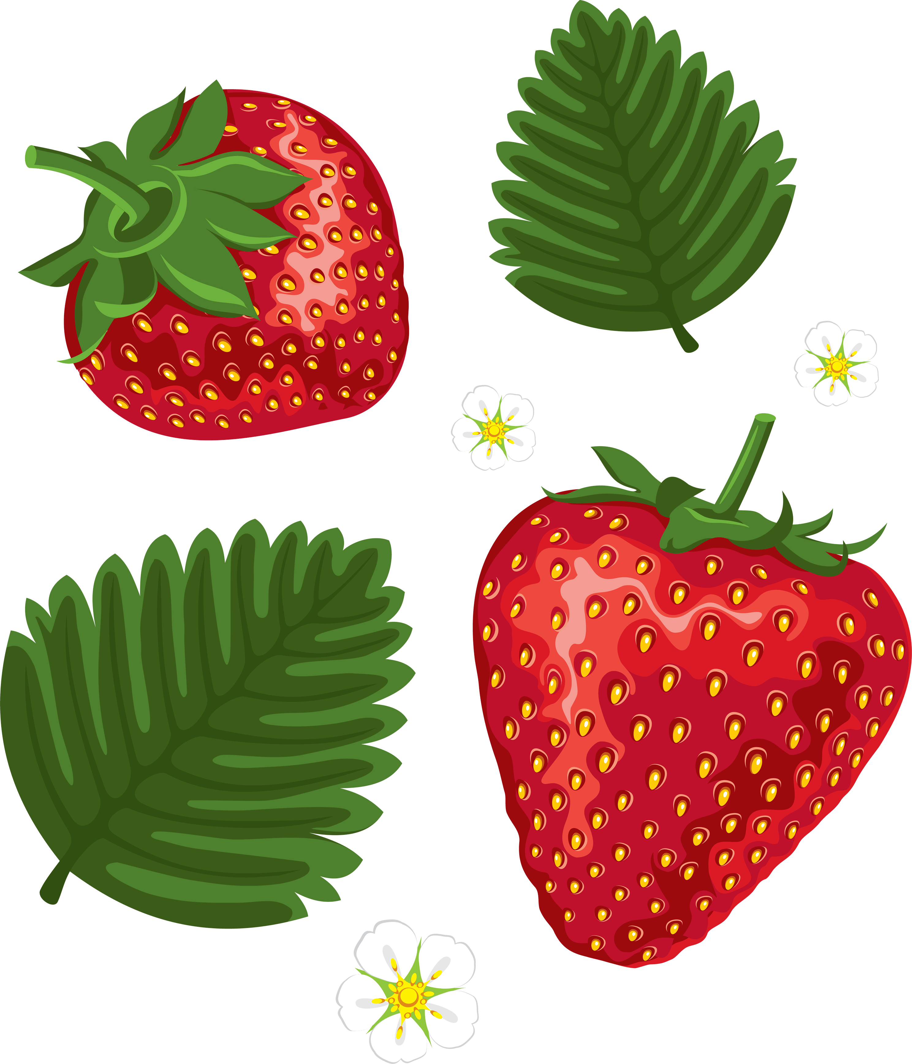 Strawberry Transparent PNG Image