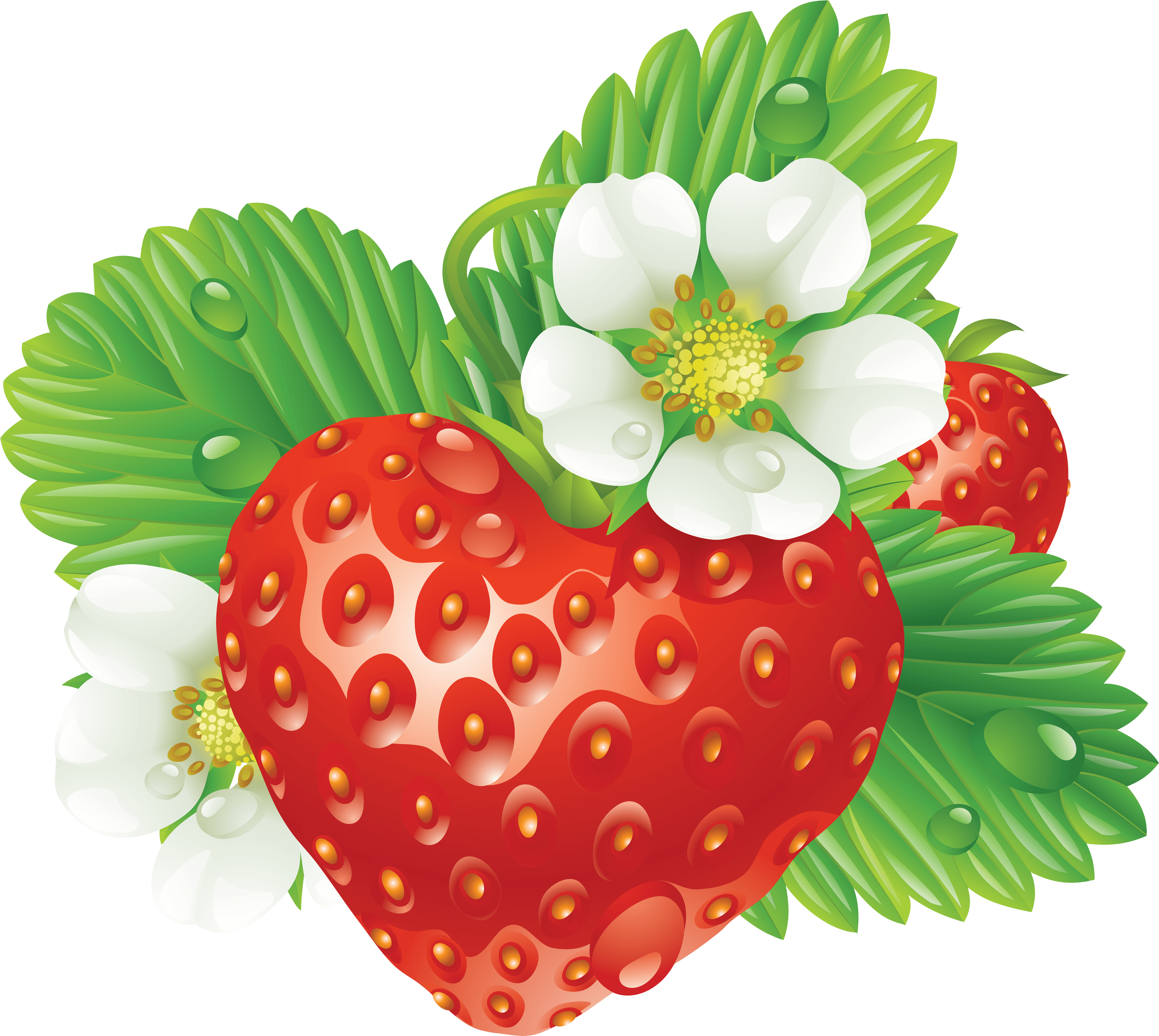 Strawberry Transparent PNG Image