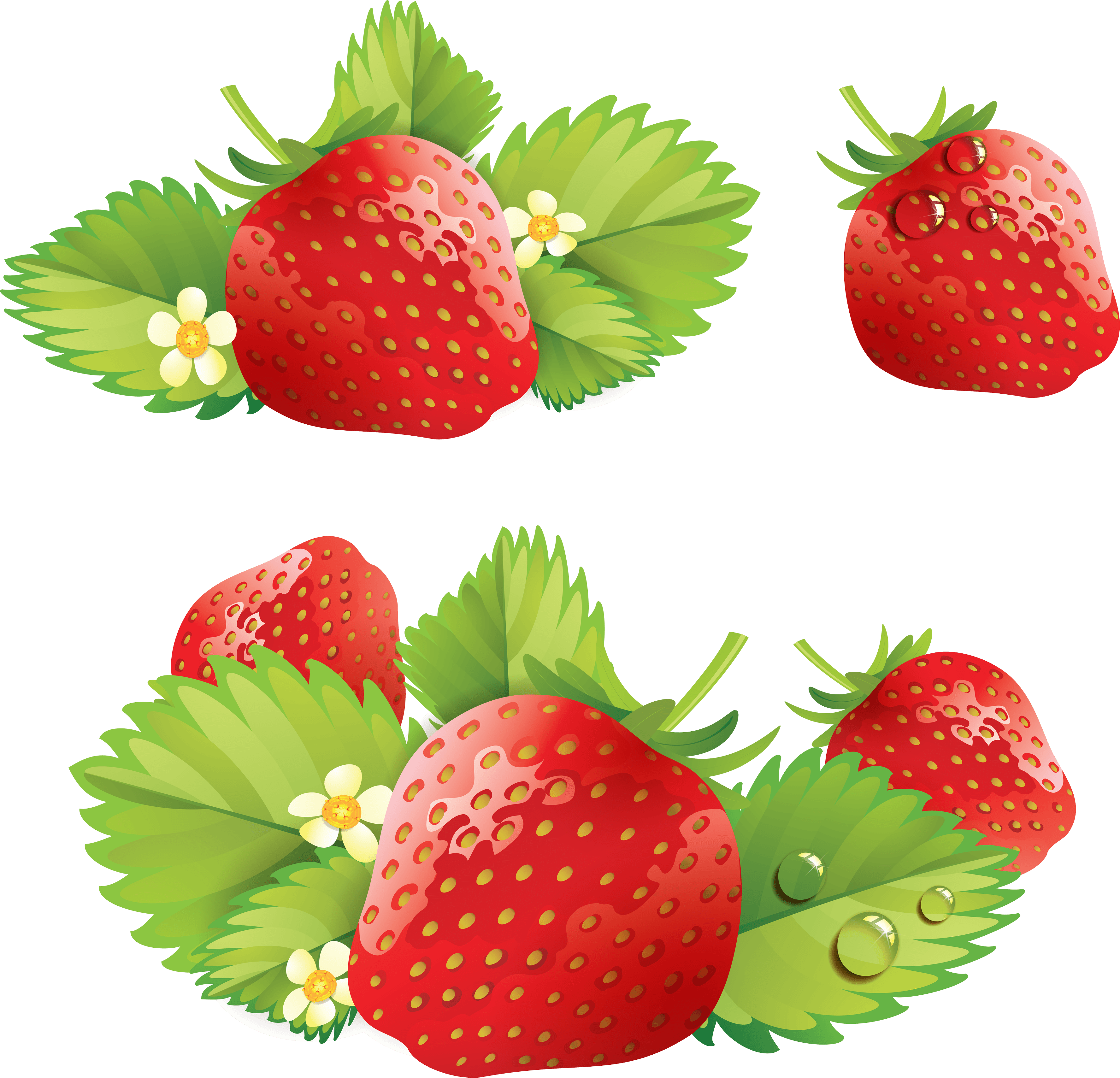 Strawberry Transparent PNG Image