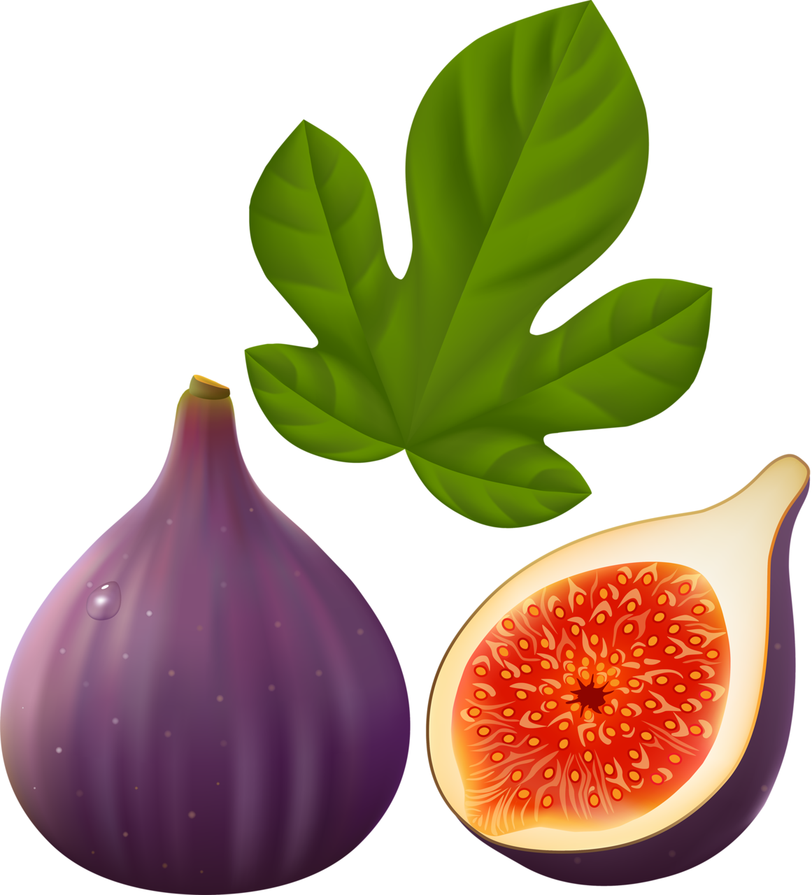 Fig Transparent PNG Image