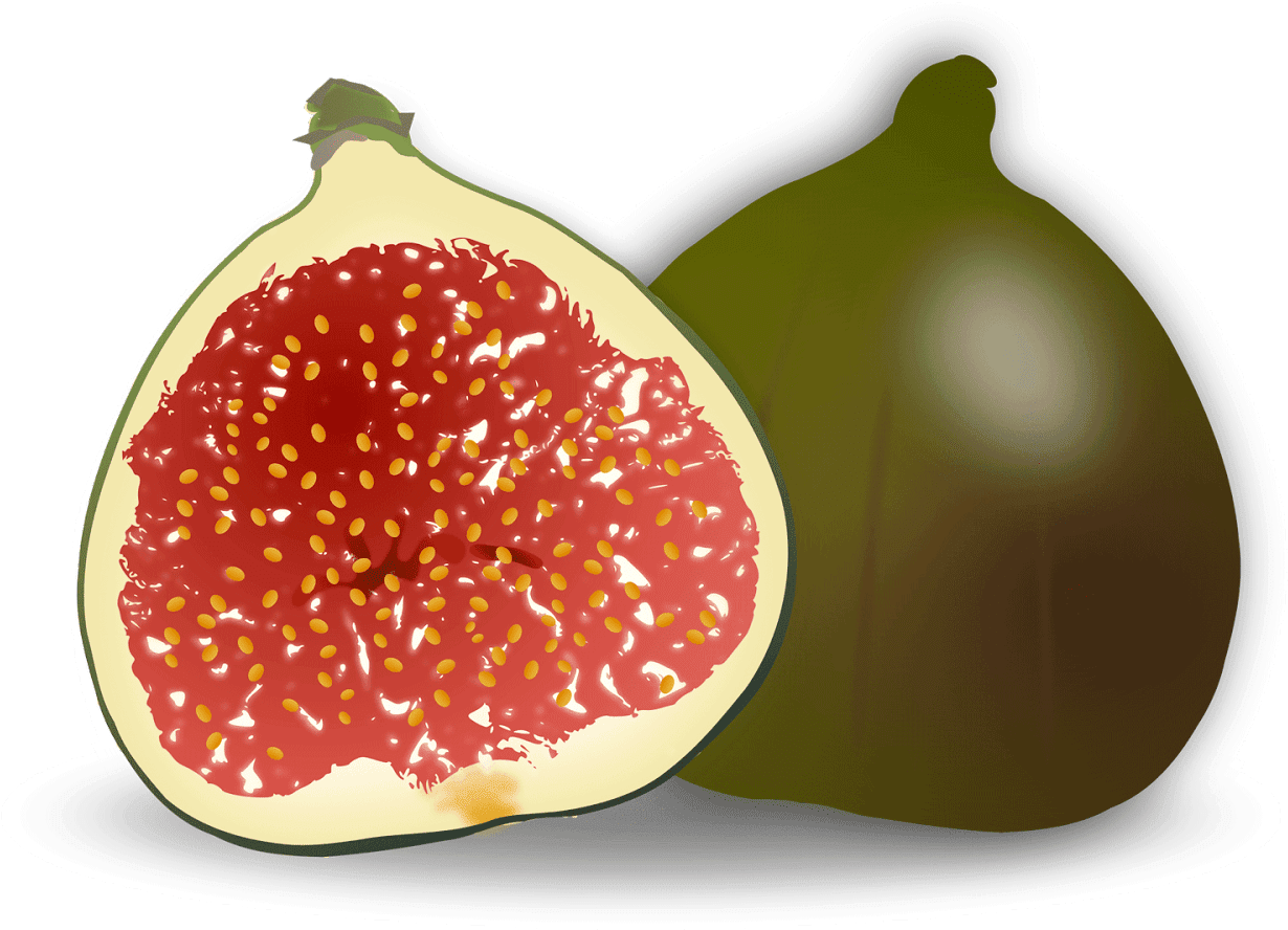 Fig File Transparent PNG Image