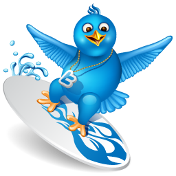 Surfing High-Quality Transparent PNG Image