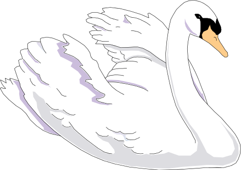 Swan Transparent PNG Image