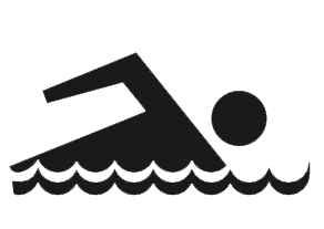 Swimming Transparent PNG Image