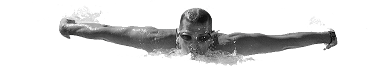 Swimming Transparent PNG Image