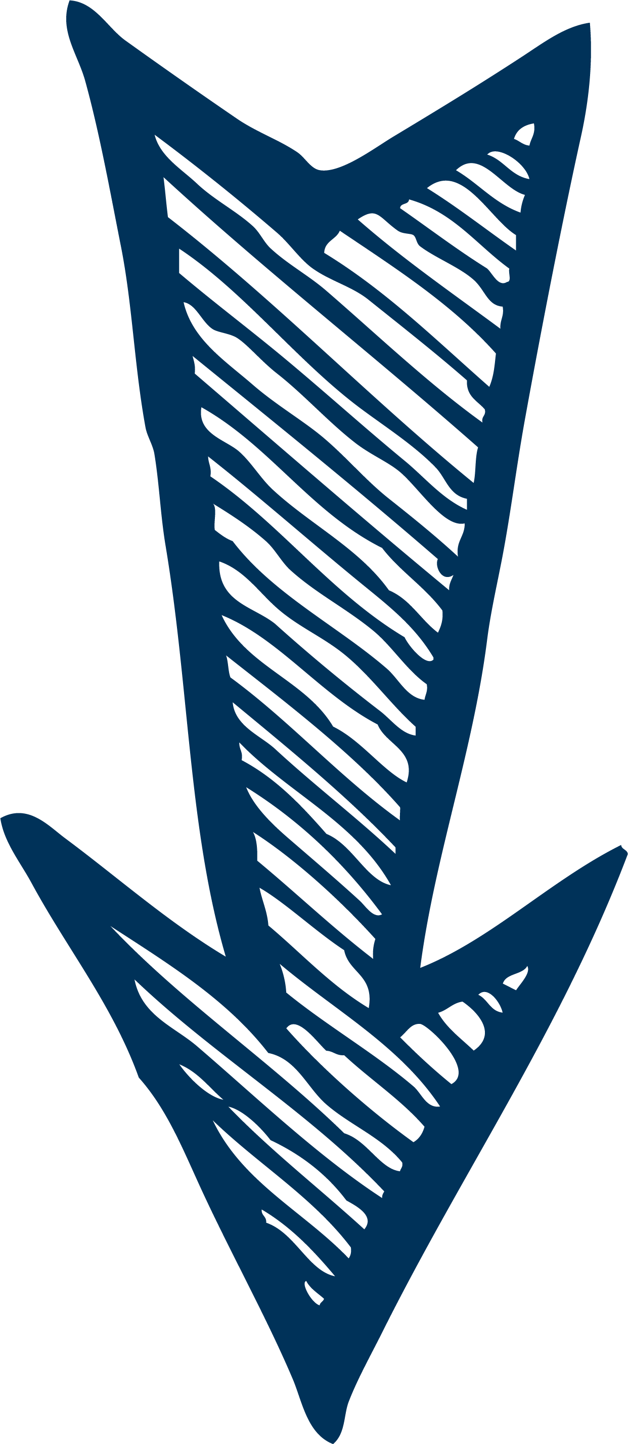 Blue Taiwan Angle Screenshot Arrow Transparent PNG Image