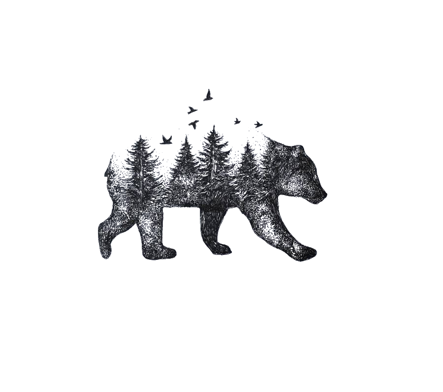 Idea Tattoo Drawing Bear Nature Transparent PNG Image