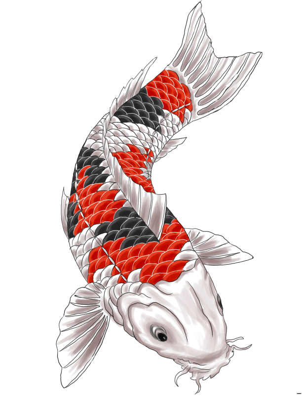 Koi Tattoo Irezumi Japan Transparent PNG Image