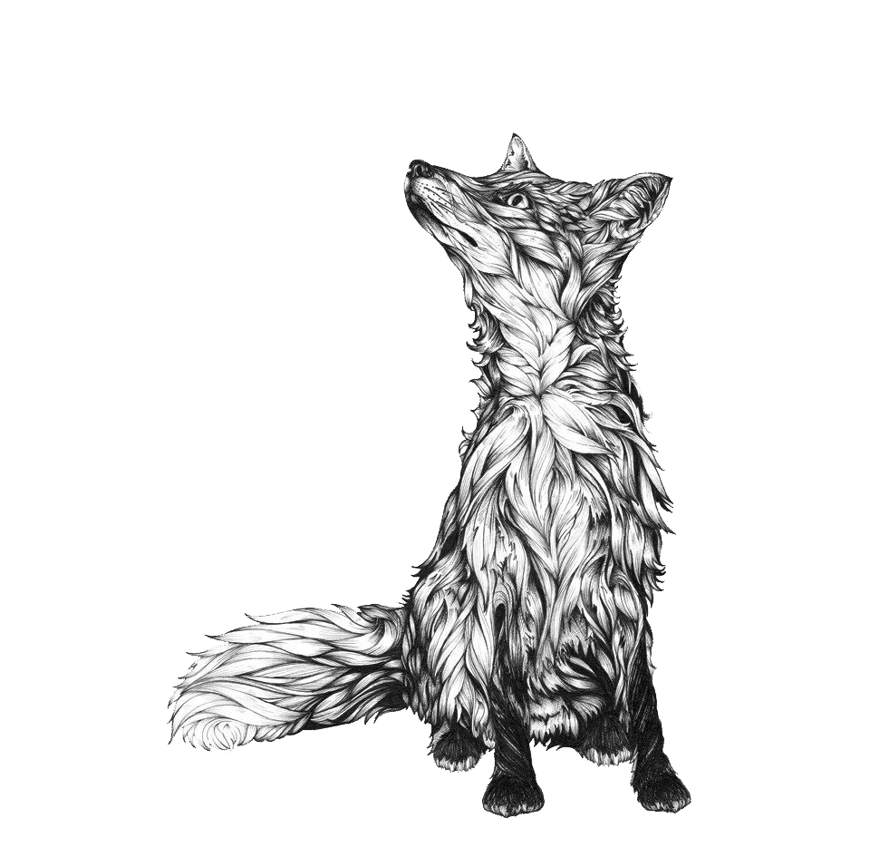 Tattoo Drawing Illustration Idea Transparent PNG Image