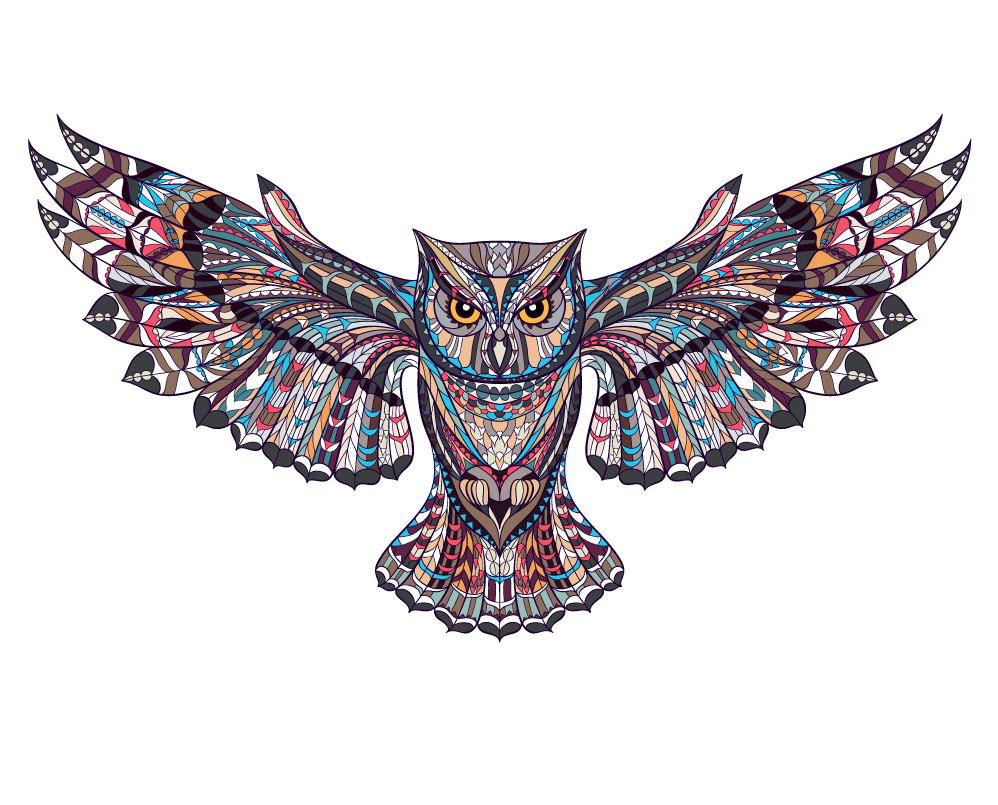 Tattoo Owl Wall Sticker Illustration Decal Transparent PNG Image