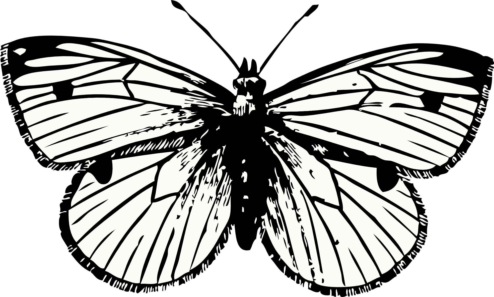 Butterfly Tattoo Transparent PNG Image