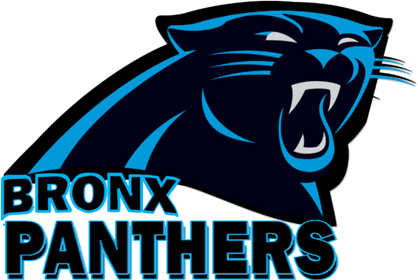 Panthers Carolina Transparent PNG Image