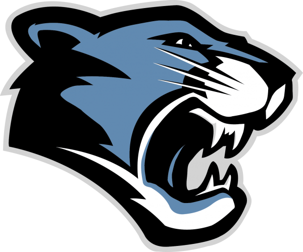 Panthers Carolina Transparent PNG Image