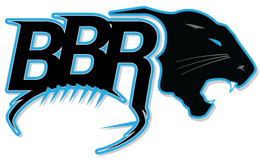 Panthers Carolina Transparent PNG Image