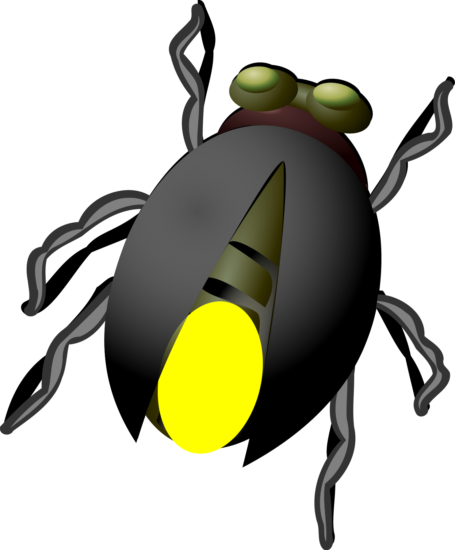 Firefly Ladybird Glowworm Fruit Transparent PNG Image