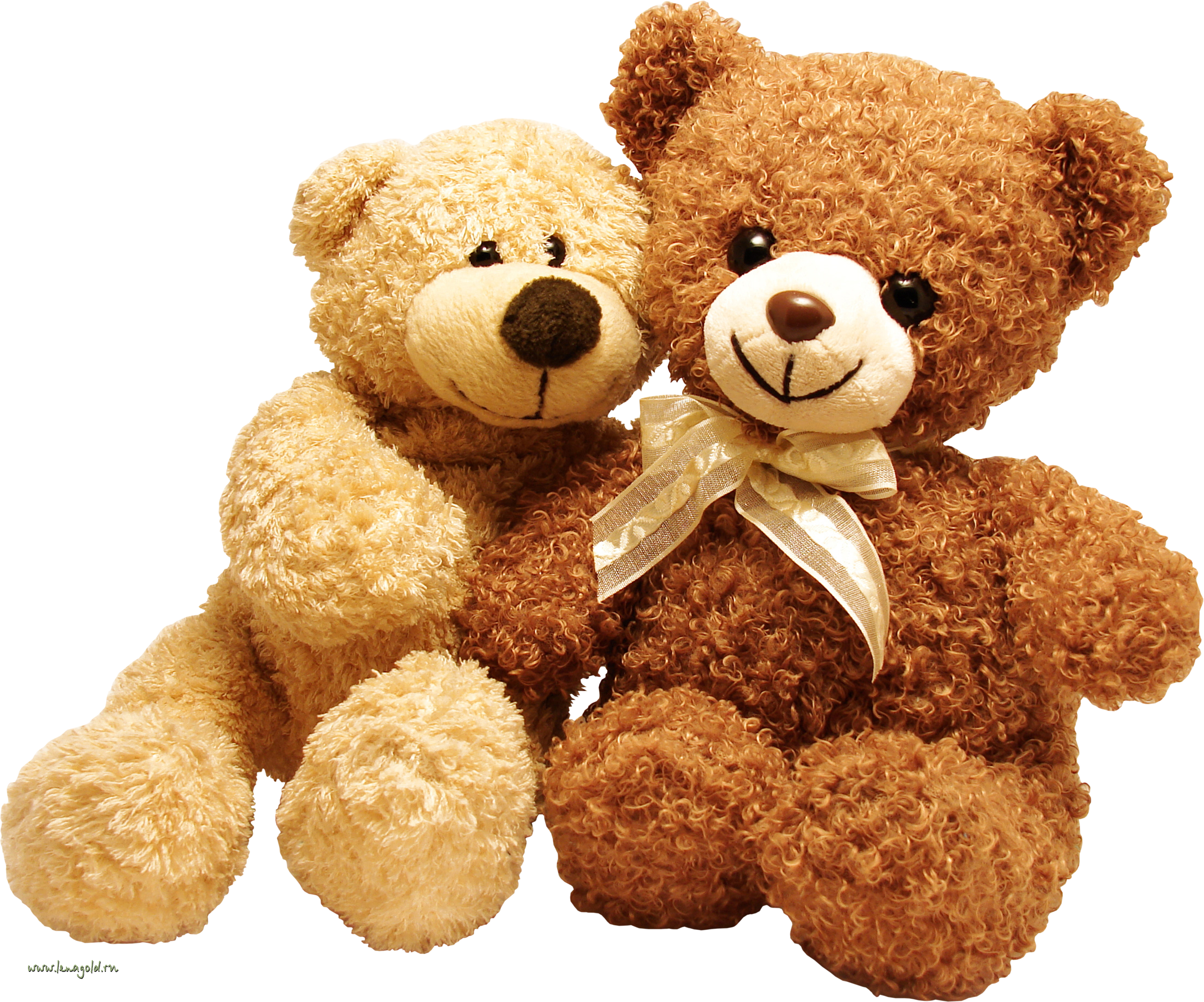 Teddy Bear Transparent PNG Image