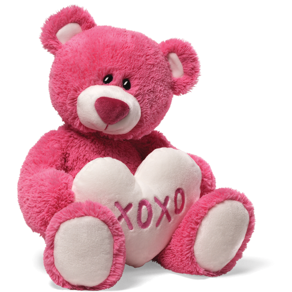 Teddy Bear Transparent PNG Image