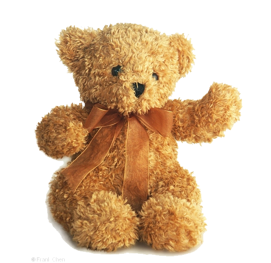 Teddy Bear Transparent PNG Image