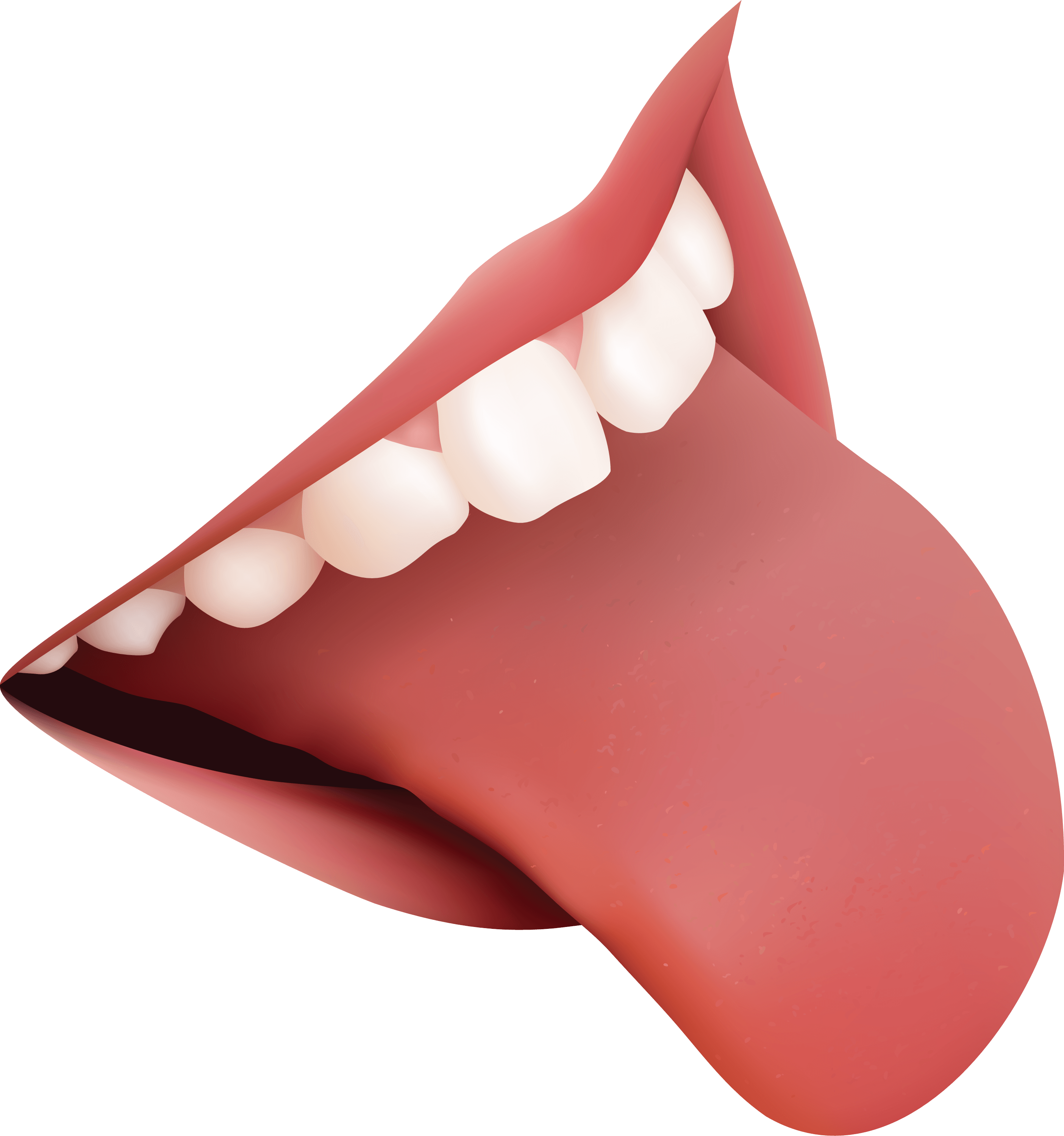Teeth Transparent PNG Image