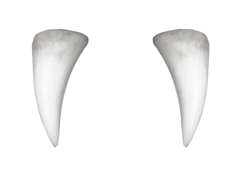 Pic Clean Tooth Transparent PNG Image