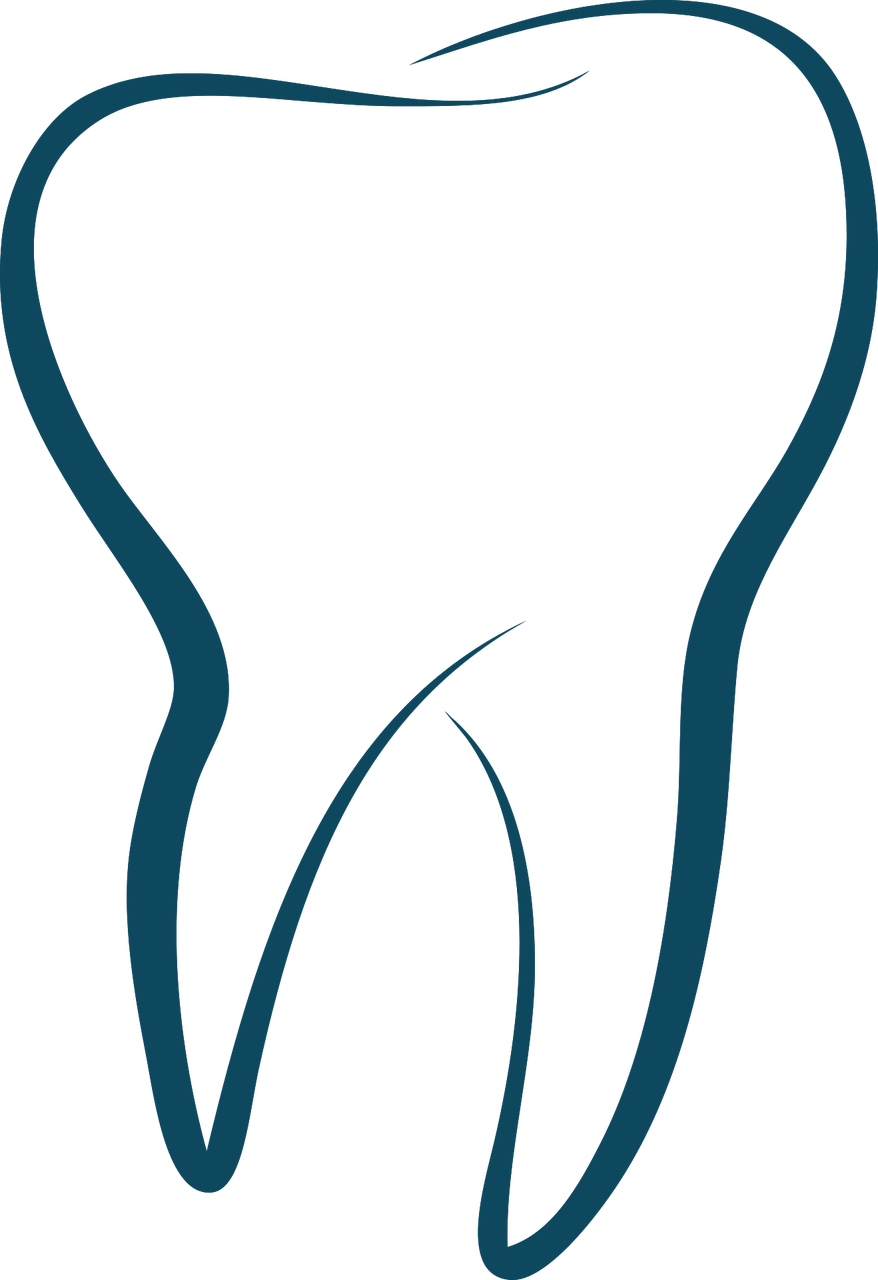 Tooth Transparent PNG Image