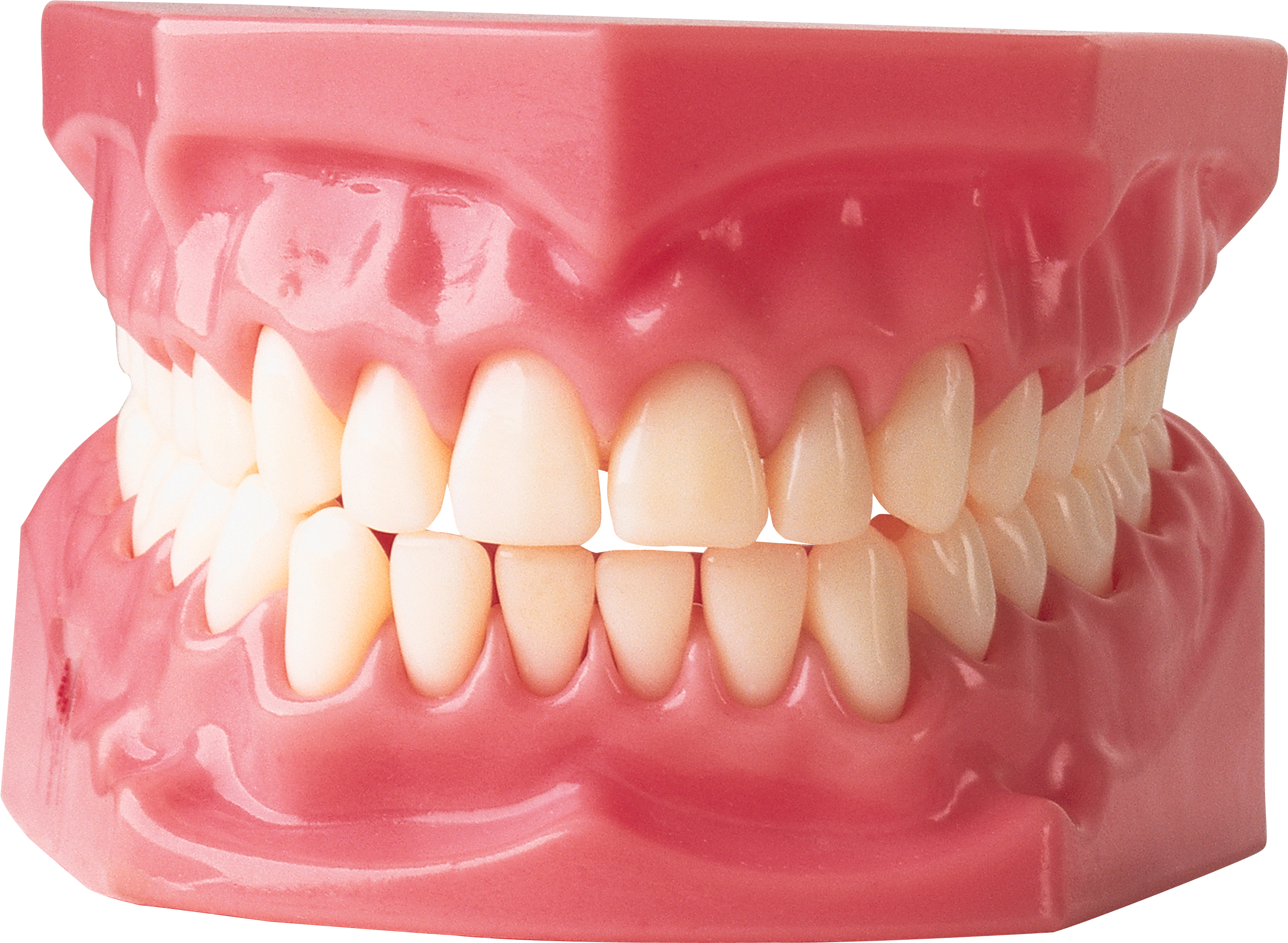 Tooth Transparent PNG Image