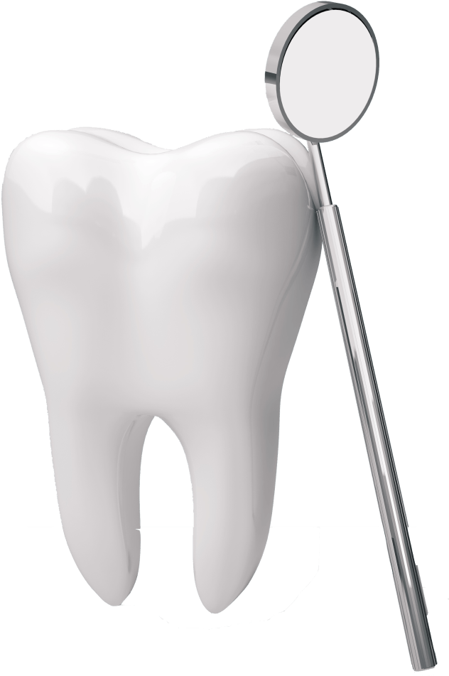 Tooth Transparent PNG Image
