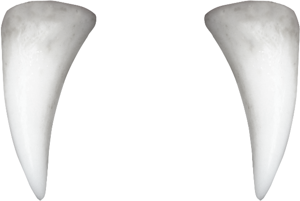 White Tooth Transparent PNG Image
