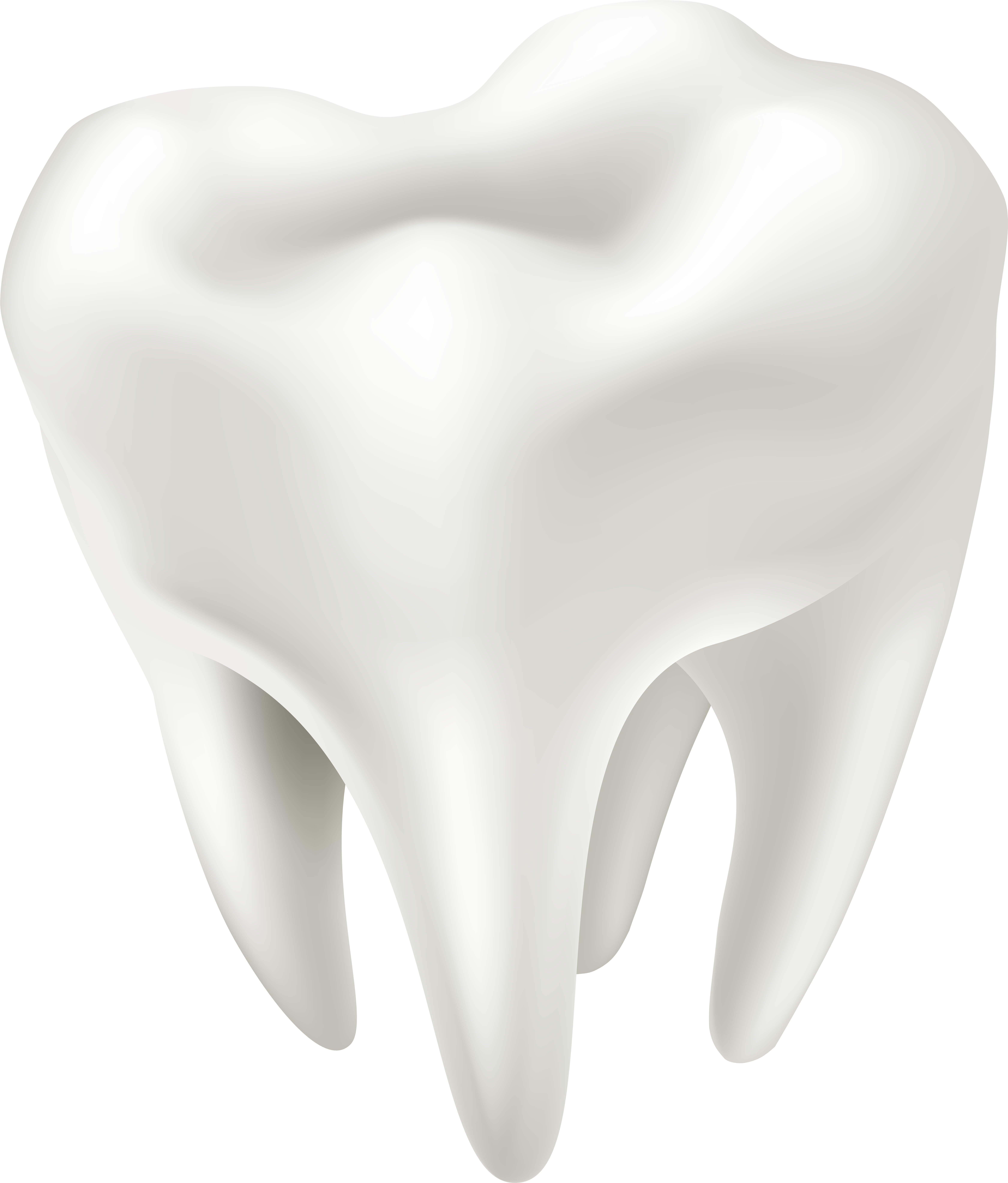 White Tooth Transparent PNG Image
