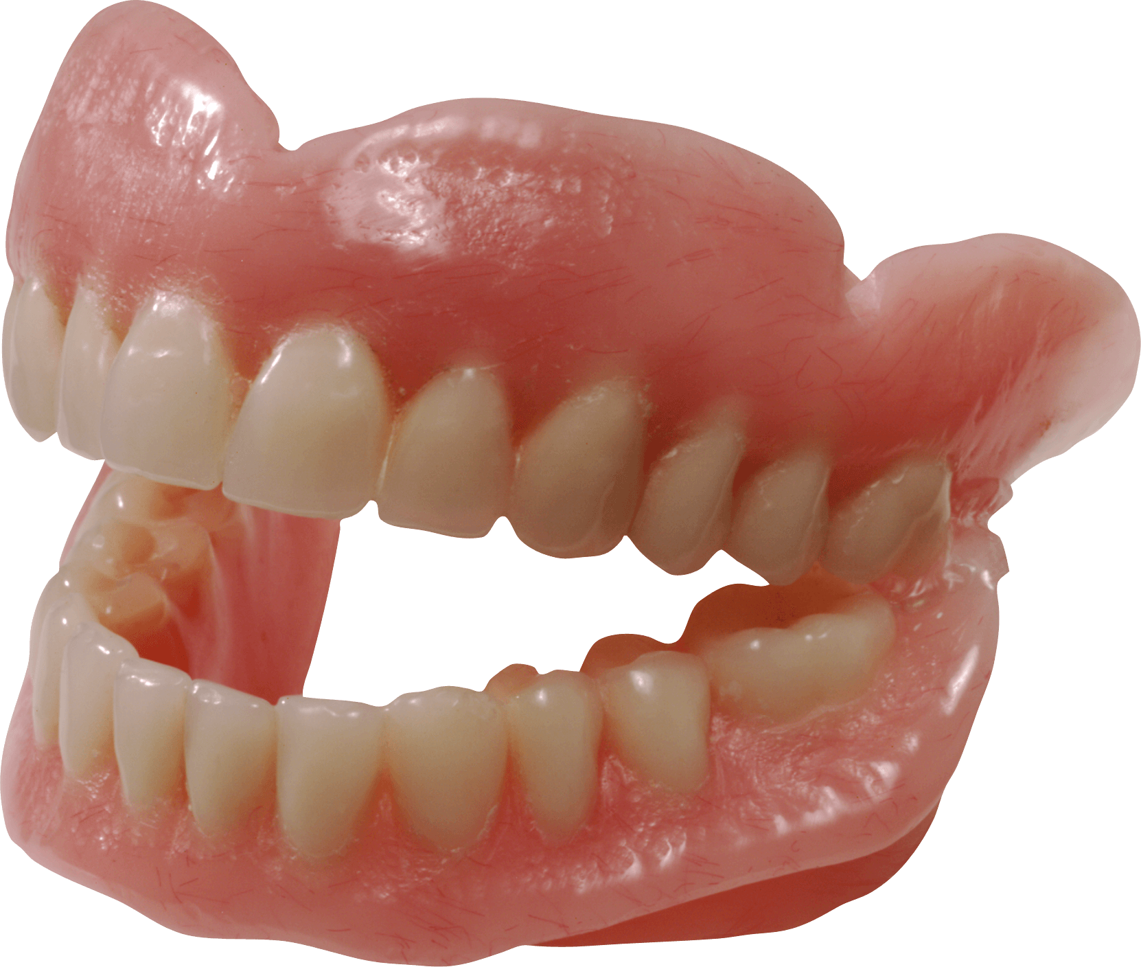 Teeth Transparent PNG Image