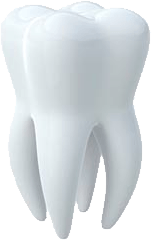 Tooth Transparent PNG Image
