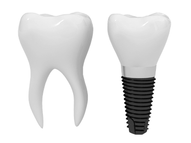 Tooth Transparent PNG Image