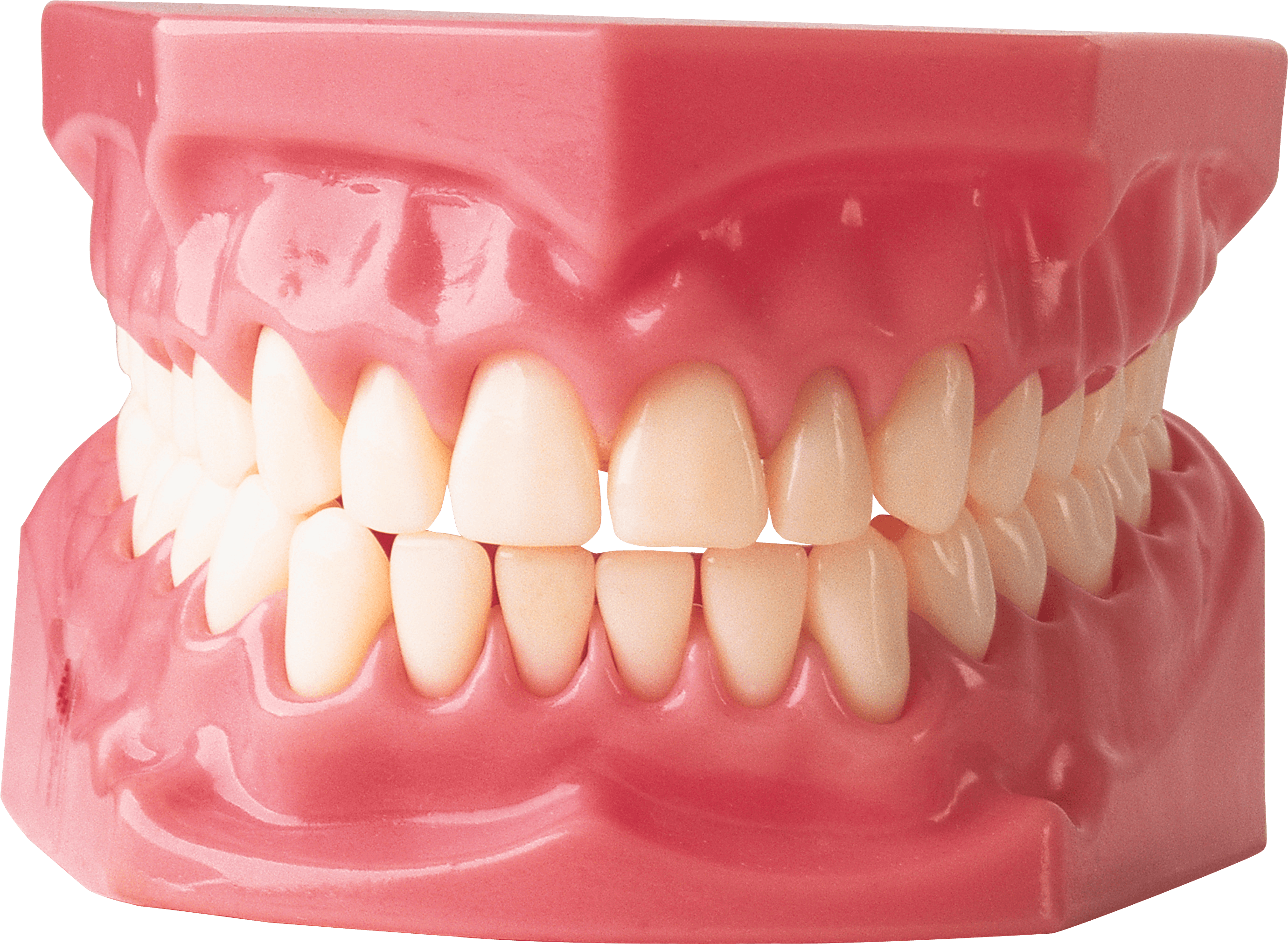Teeth Transparent PNG Image