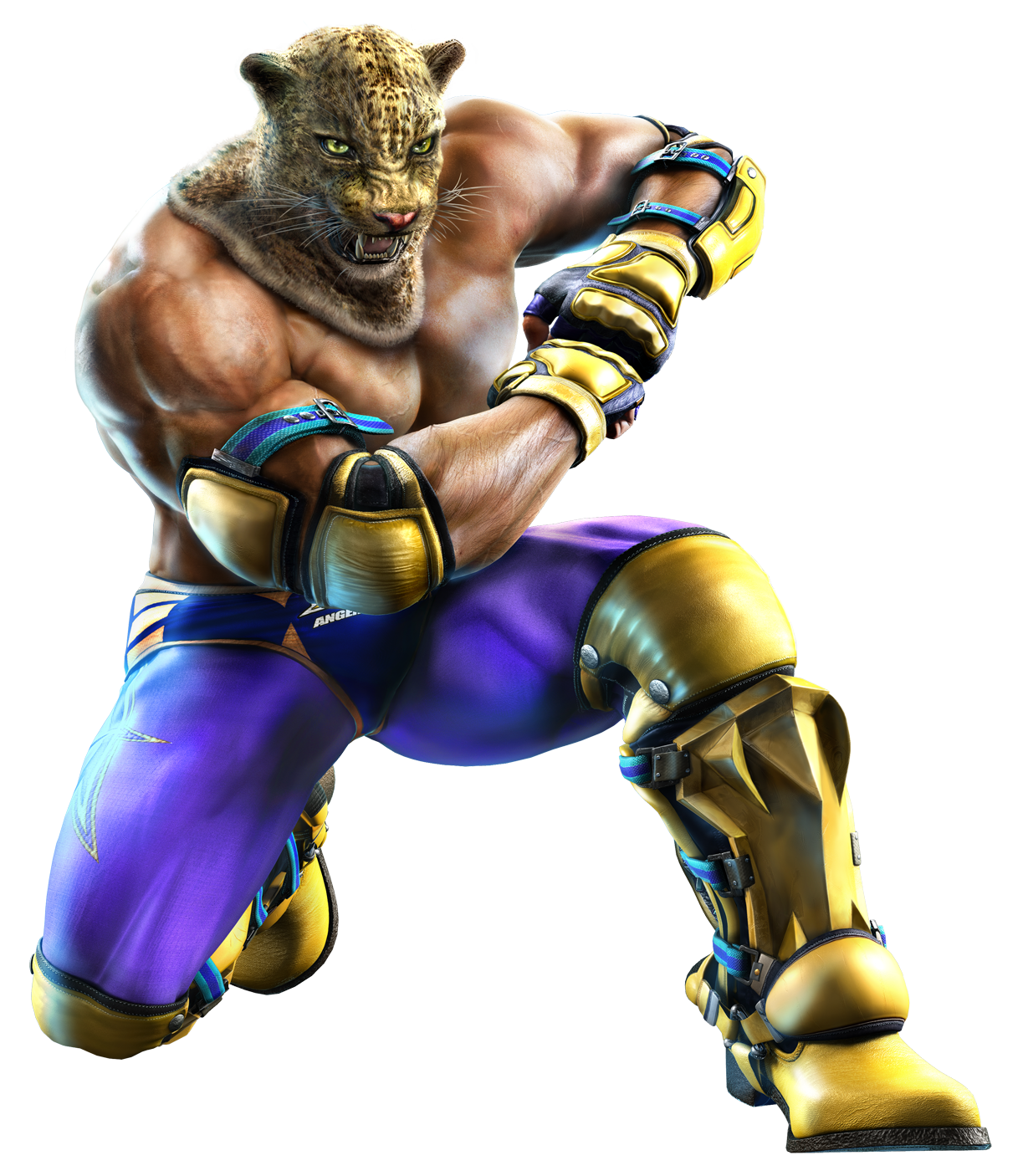 Armor King I Transparent PNG Image