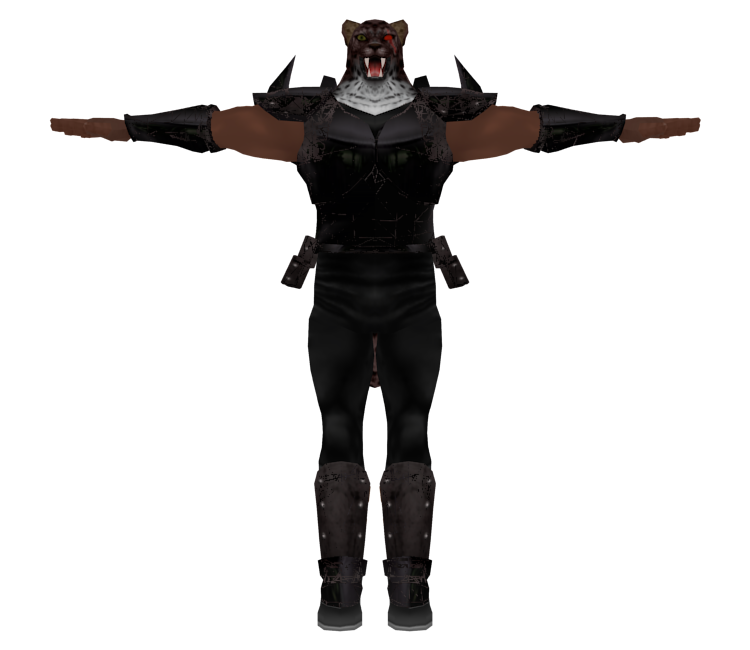 Armor King I Transparent PNG Image