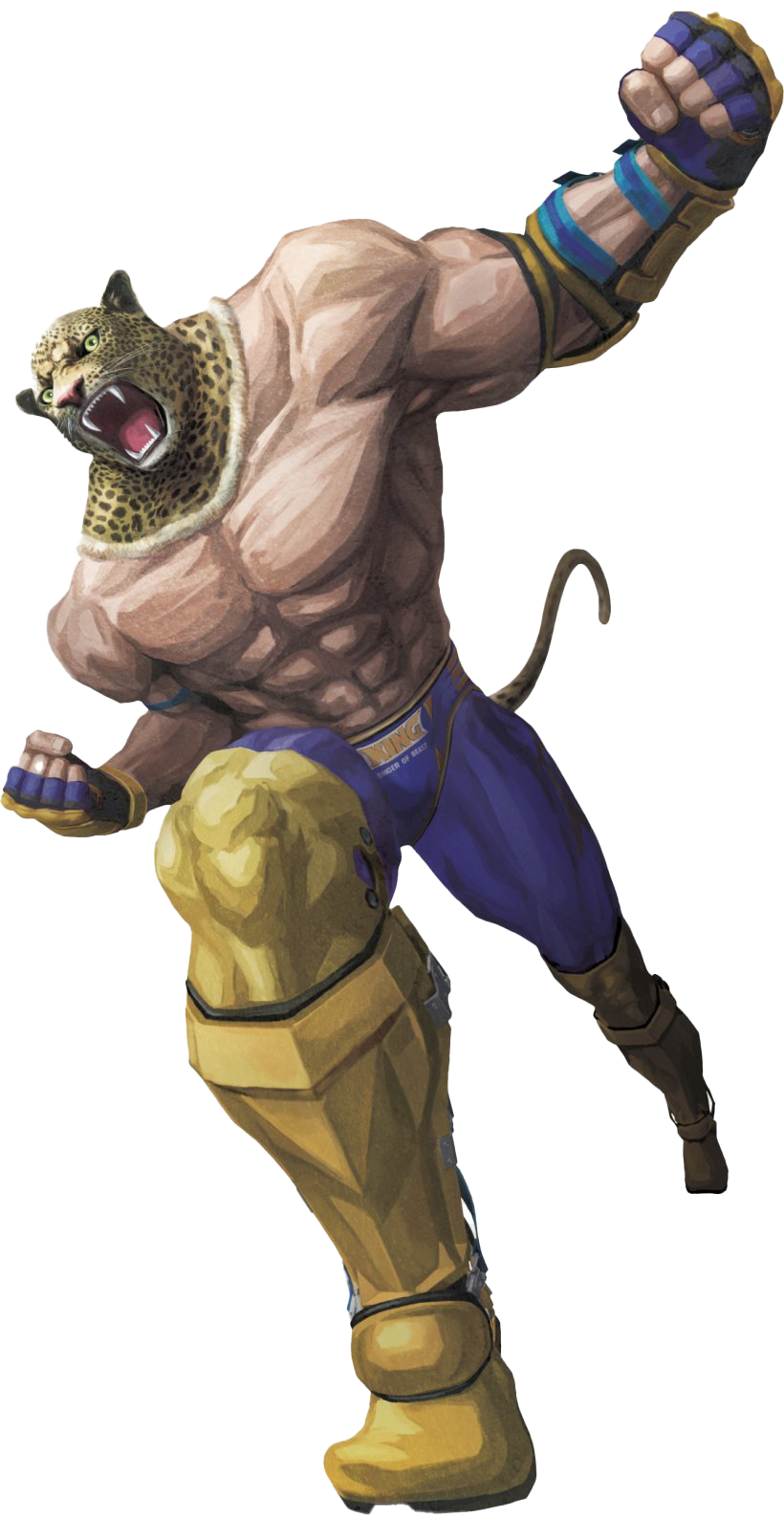 Armor King I Transparent PNG Image