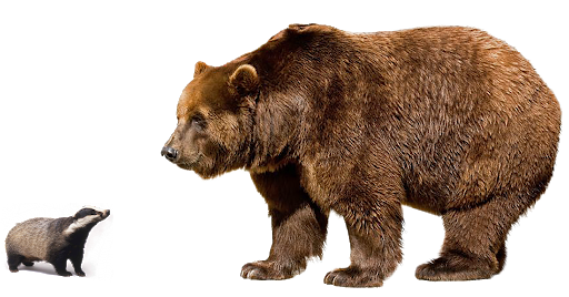 Tekken Kuma Bear File Transparent PNG Image