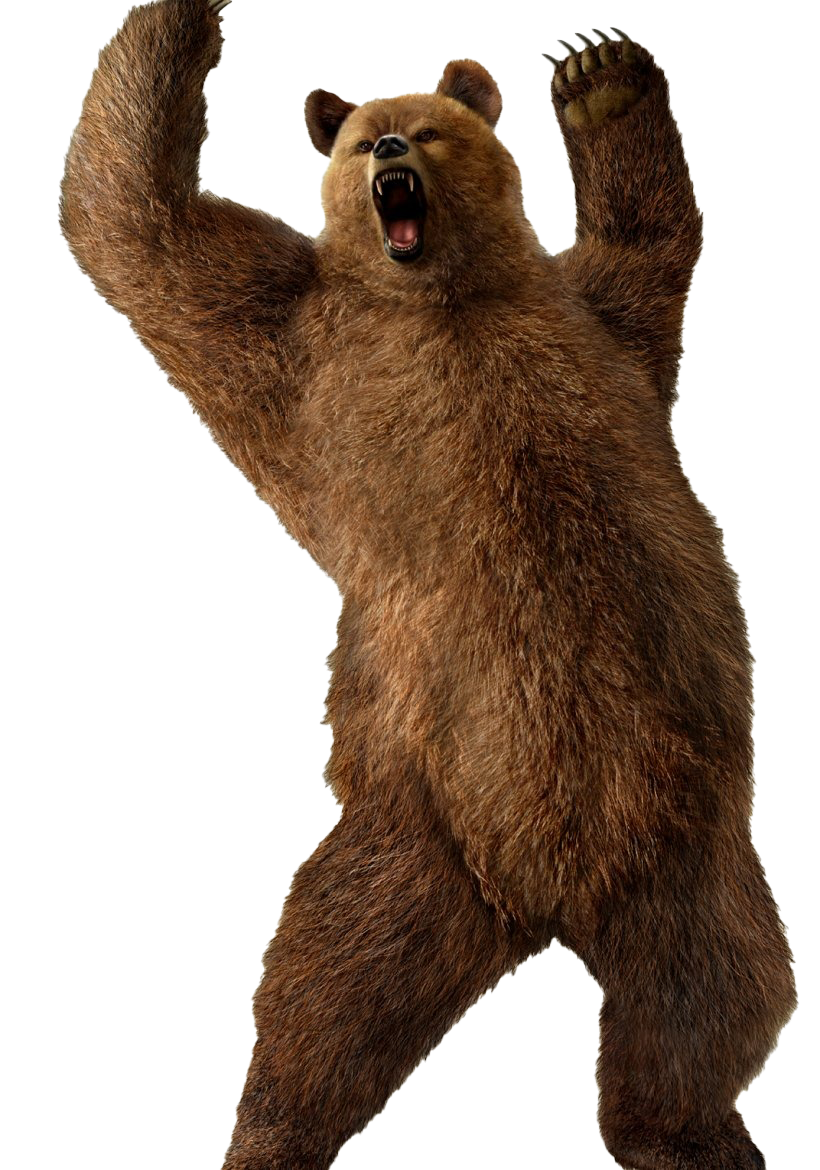 Tekken Kuma Bear Transparent PNG Image