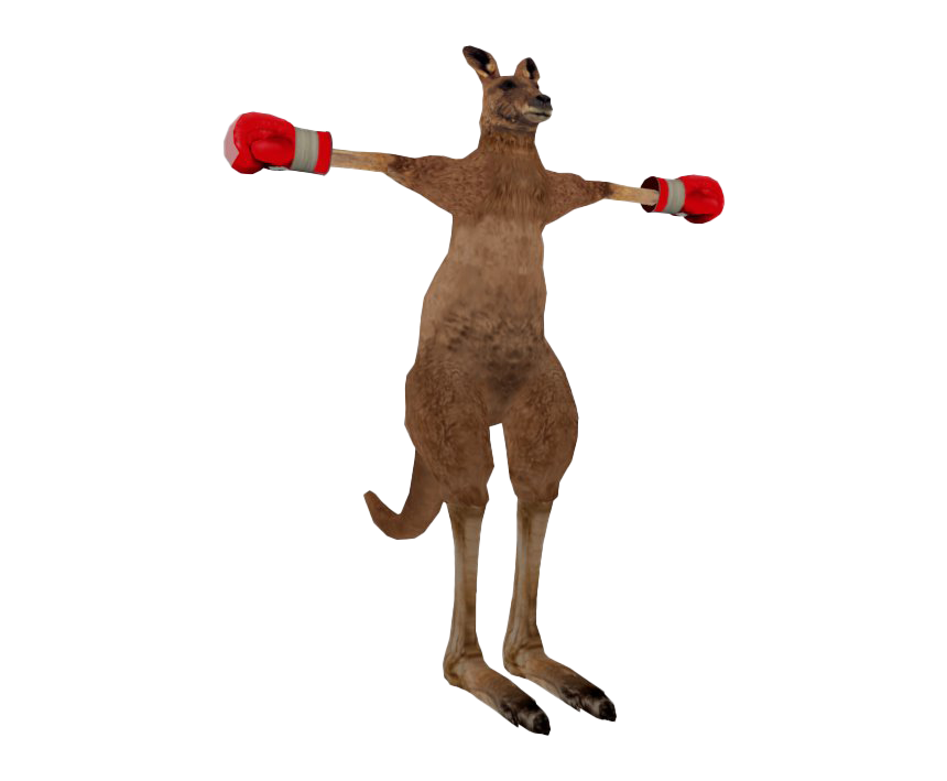 Kangaroo Roger Transparent PNG Image