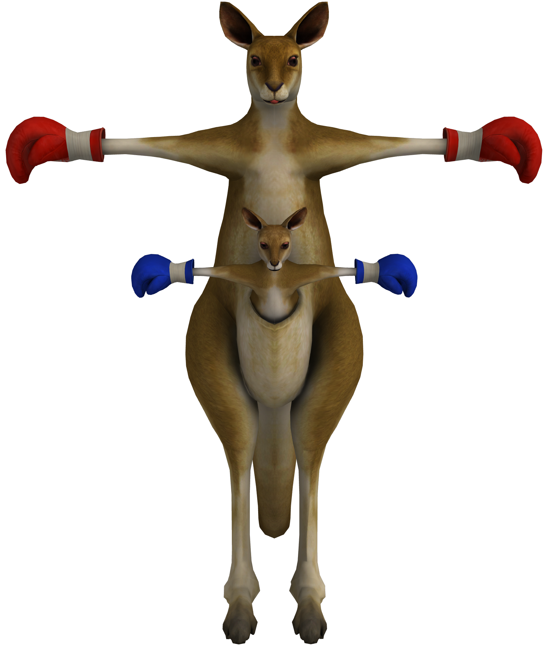 Kangaroo Roger Transparent PNG Image