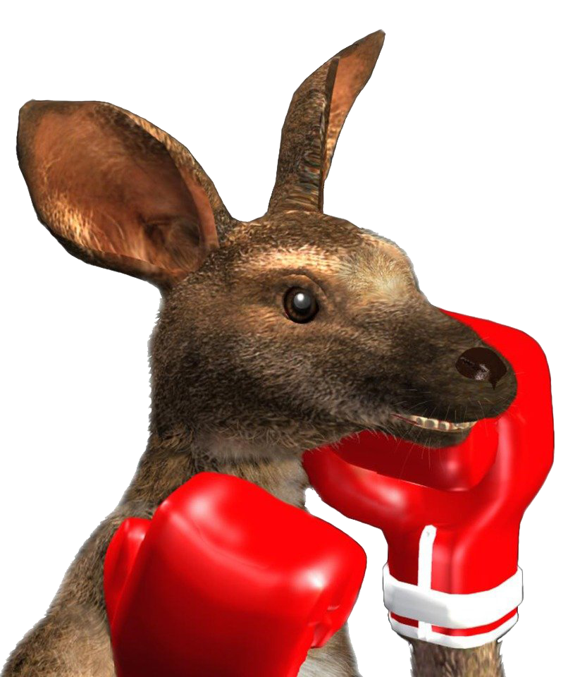 Kangaroo Roger Transparent PNG Image