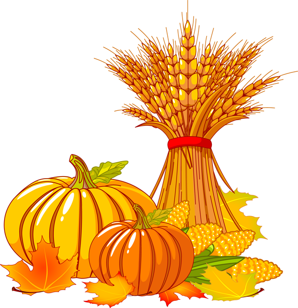 Thanksgiving Pumpkin Transparent PNG Image