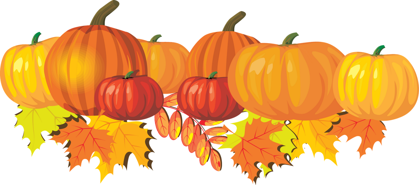 Thanksgiving Pumpkin Transparent PNG Image