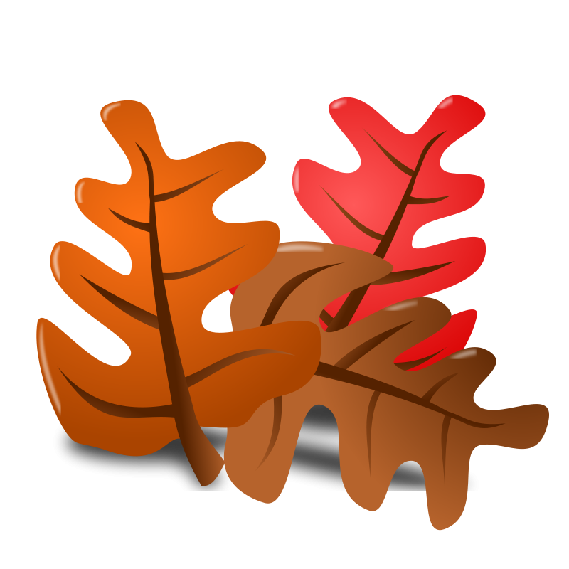 Thanksgiving Transparent PNG Image